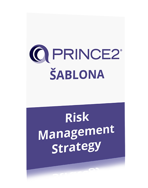 PRINCE2 Risk Management Strategy