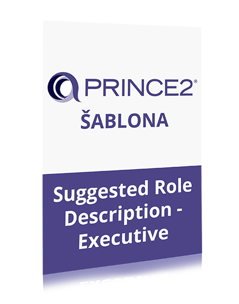 PRINCE2 Suggested Role Description-Executive