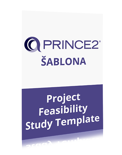 Project Feasibility Study Template